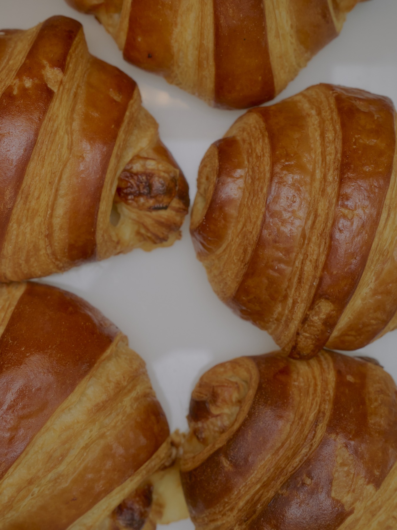 Croissants arranged overhead on parchment